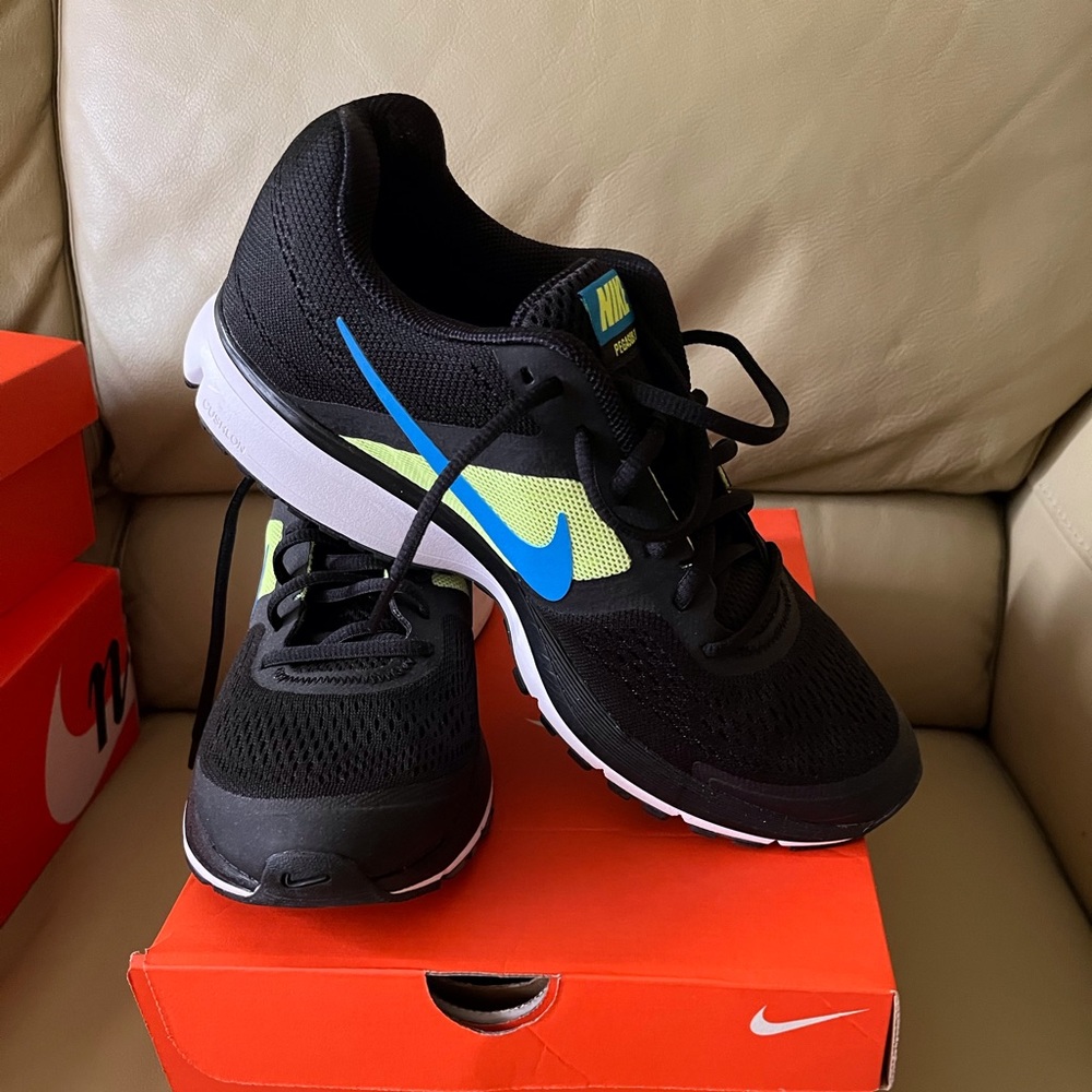 Nike Pegasus 30